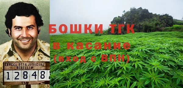 молекула духа Алексин