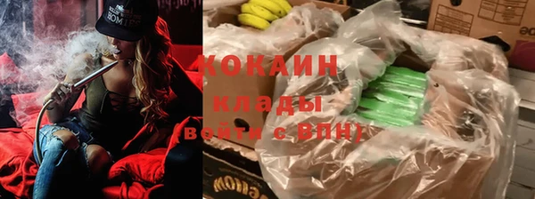 молекула духа Алексин